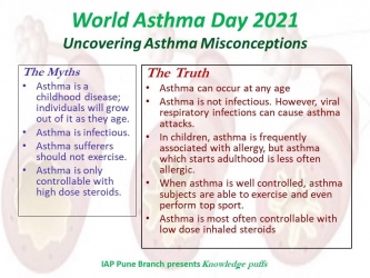 Nuggets-1_World-Asthma-Day-2021-Copy